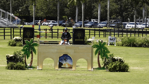 Grand Prix Horse GIF by Eye Candy Jumpers