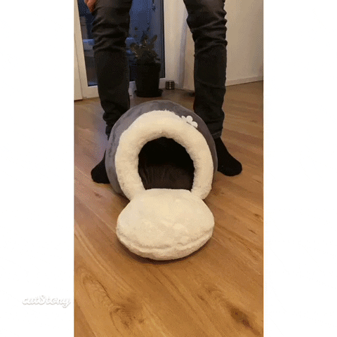 KatzenLiebe giphyupload GIF