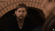 animalkingdom  GIF