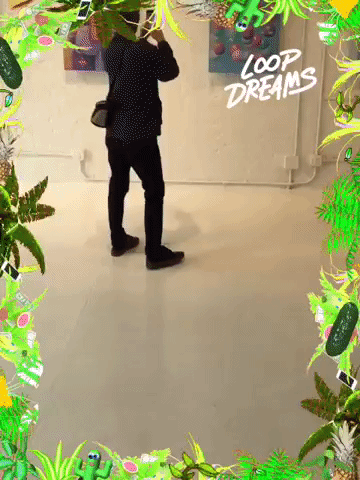 loopdreams by Loop Dreams GIF Booth