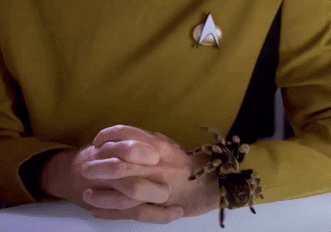 alisonpitt giphygifgrabber startrek tarantula startrektng GIF