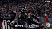 Baltimore Ravens Football GIF by NFL