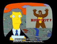 Season 1 GIF by The Simpsons
