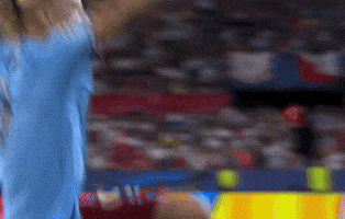 Champions League Football GIF by UEFA