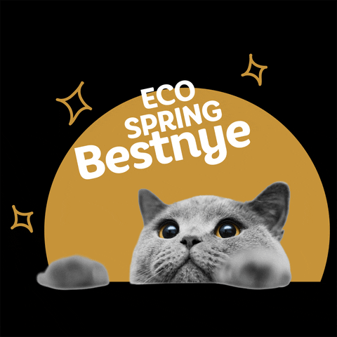 Cat GIF by Eco Spring  at Iskandar Malaysia