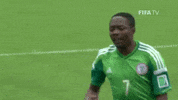 Celebrate World Cup GIF by FIFA