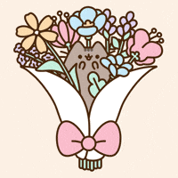 Cat GIF by Pusheen