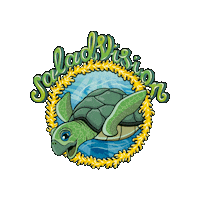 SaladVision summer vegan fruit foodie Sticker