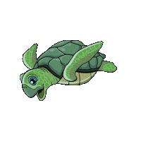 SaladVision summer fruit foodie turtle Sticker