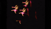 Weirdworld GIF by Allie X