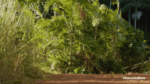 Celebrate Paul Rudd GIF by Sony Pictures