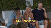 are we good fox tv GIF by Paradise Hotel
