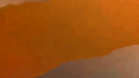 Beach Color GIF by Sam Gendel