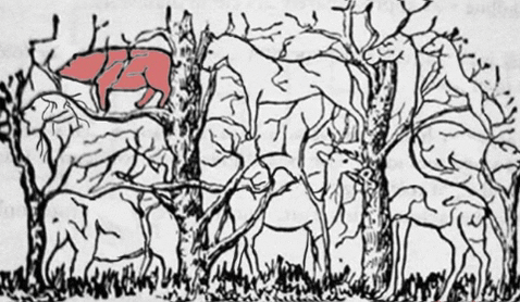 erivancamposconde giphygifmaker GIF