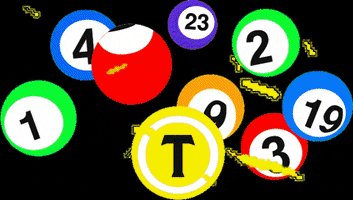 Bingo GIF by Tryater