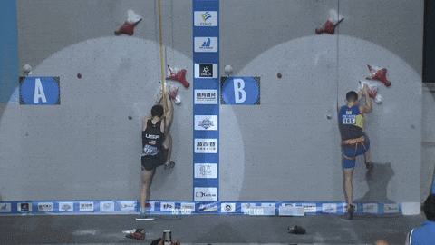 brittanyraedavis giphyupload olympics climbing bouldering GIF
