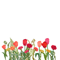 forencos 원더랜드 포렌코즈 Sticker