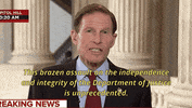 Richard Blumenthal GIF