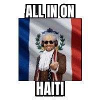 World Cup 2026 Haiti Sticker