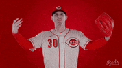 Baseball Mlb GIF by Cincinnati Reds