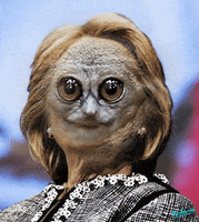 humor politics GIF by PEEKASSO