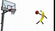 Chicago Bulls Basketball GIF