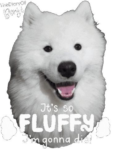 Cute Dog Sticker