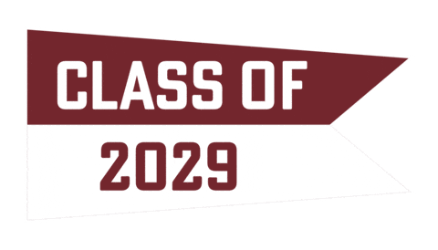 50Th Anniversary Rally Sticker by Lehigh University