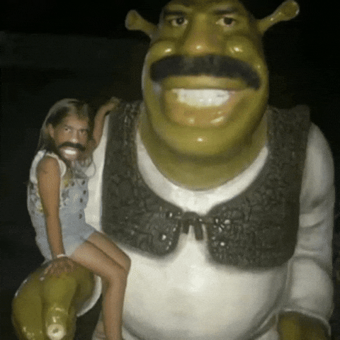 Shrek Meme GIF