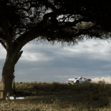 Car Jumping GIF by FIA World Rally Championship