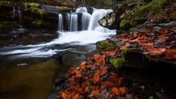 west virginia GIF