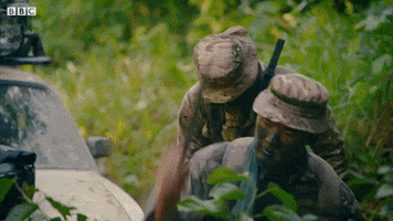 Cars Driving GIF by BBC