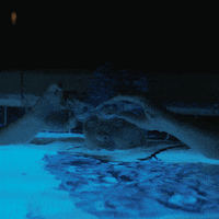 brit marling netflix GIF by The OA