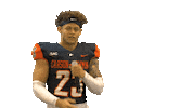 Cnfb Sticker by Carson-Newman Athletics