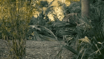 cbs cbs sealteam sealteamcbs GIF