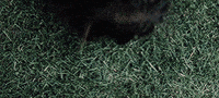 idk its weird the leftovers GIF
