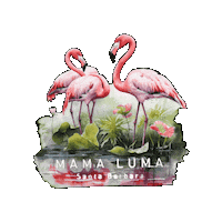 Art Drawing Sticker by mamalumaofficial