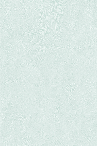 processing p5 GIF by Adam Ferriss