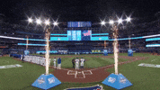 Blue Jays Baseball GIF by Toronto Blue Jays