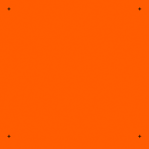 Cannes GIF by Gut