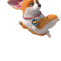 mocoaifay animation dog cartoon corgi Sticker