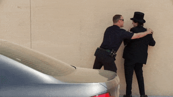magic police GIF