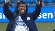 Happy Football GIF by FC Schalke 04