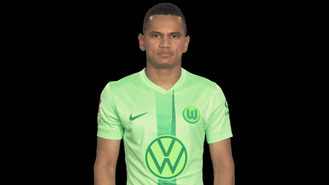 Bundesliga No GIF by VfL Wolfsburg