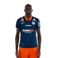 Allez Go Sticker by MHSC