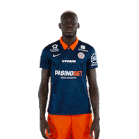 Montpellier Sticker by MHSC
