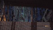 Ferris Wheel GIF by Chris
