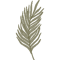 Palm Leaf Plants Sticker by CSM Skin Care