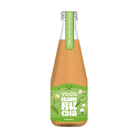 vedakombucha kombucha kombuchadrink vedakombucha kombuchabeterraga Sticker