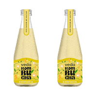 Kombuchadrink Sticker by vedakombucha